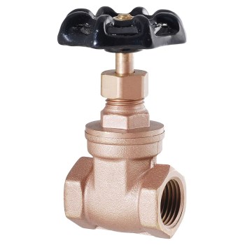 LDR Ind 022 1115 Lead-Free Gate Valve ~  1&quot; FIP