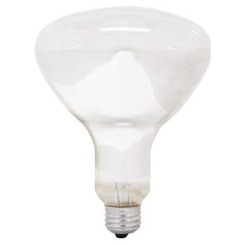 GE 37770 Heat Lamp, 250 watt