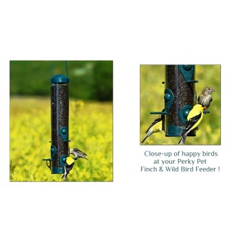 Woodstream 3261 PerkyPet Brand Bird Feeder, Sierra Design for Finch &amp; Wild Birds ~ 1.8 lb Seed Capacity