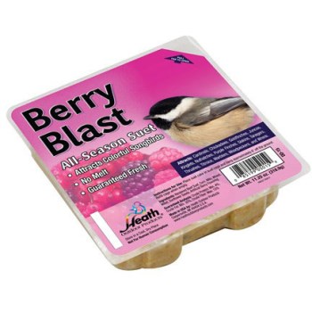 BWI Co  HTDD15 Berry Blast Suet Cake ~ 11.5 oz