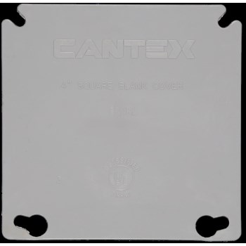 Cantex EZXKLR Square Blank Cover - Double Gang