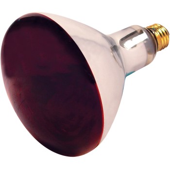 Satco Products S4998 R40 Heat Lamp