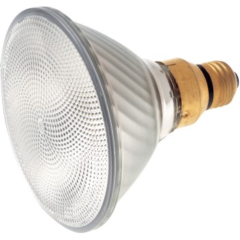 Satco Products S2248 Halogen Par Light Bulb