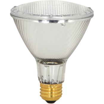Satco Products S2240 Halogen Par30 Light Bulb