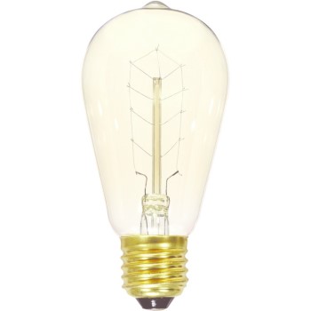 Satco Products S2414 Vintage Light Bulb