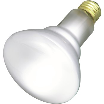 Satco Products S2817 Incand Reflector Bulb