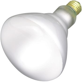 Satco Products S2853 Incand Reflector Bulb