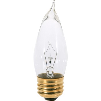 Satco Products S3765 Incand Deco Bulb