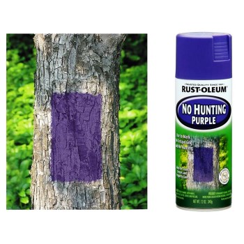 Rust-Oleum 270970 No Hunting Purple [Matte]  Spray Paint ~ 12 oz Aerosol