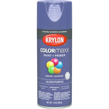 Krylon K05533007 5533 Sp Gloss Purple