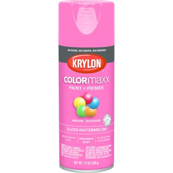 Krylon K05544007 5544 Sp Gloss Watermelon Paint