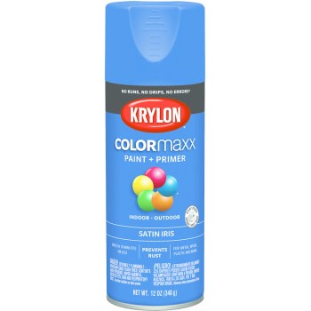 Krylon K05564007 5564 Sp Satin Iris Paint