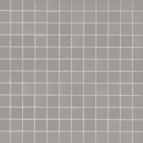 True 1&quot; x 1&quot; Floor &amp; Wall Mosaic in Grey