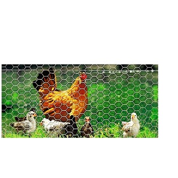 Mazel 501150362 Poultry Hex Netting 36&quot; x 150 Ft ~  2&quot; x 20 Gauge