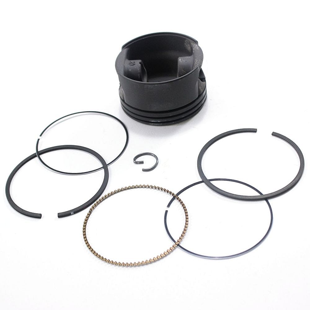 Lawn &amp; Garden Equipment Engine Piston and Ring Kit, 0.02-in