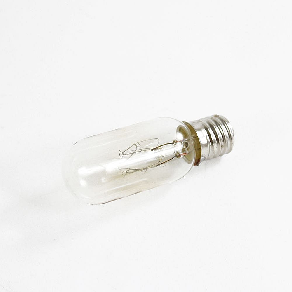 Microwave Light Bulb