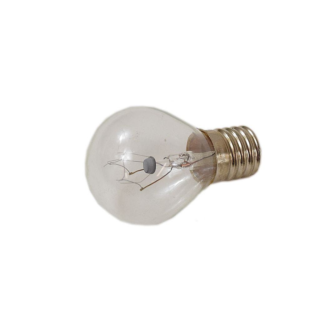 Microwave Light Bulb