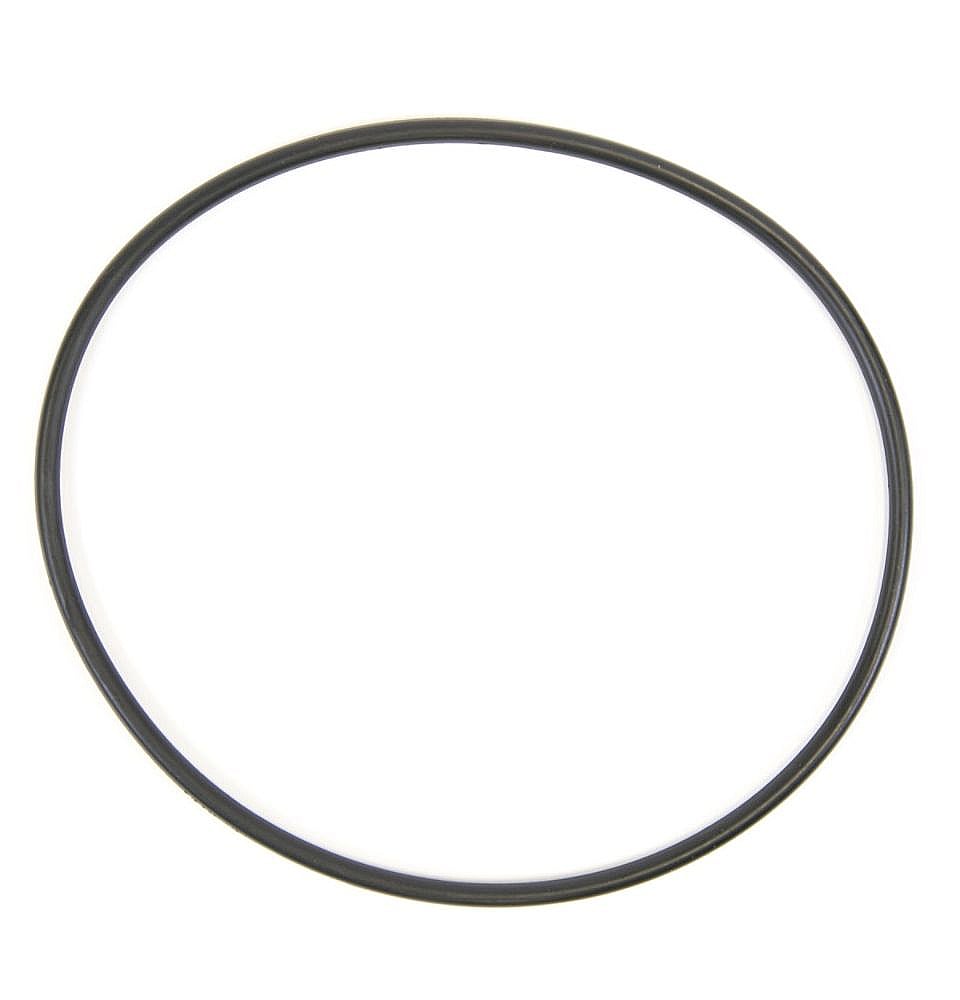 Water Filtration System Filter O-Ring