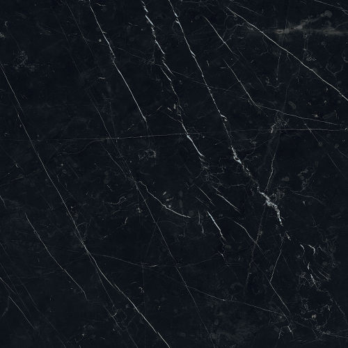 Magnifica The Thirties 30&quot; x 30&quot; - 8mm Polished Porcelain Tile in Nero Marquina