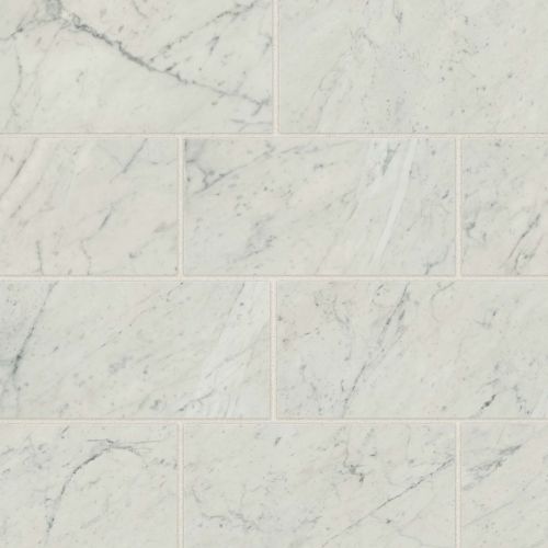 Classic 2.0 12&quot; x 24&quot; Floor &amp; Wall Tile in Bianco Carrara