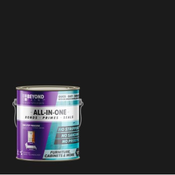 Beyond Paint BP14CP 1g Lcric All-In-1 Paint