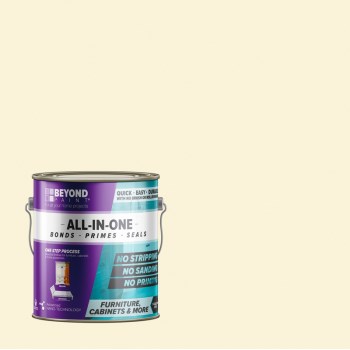 Beyond Paint BP18CP 1g Ofwht All-In-1 Paint