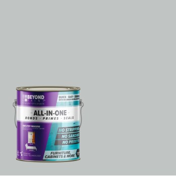 Beyond Paint BP23CP 1g Sfgry All-In-1 Paint