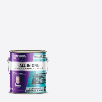 Beyond Paint BP24CP 1g Bwht All-In-1 Paint