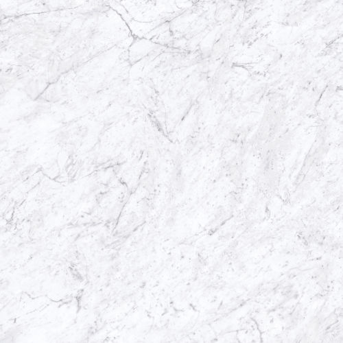 Magnifica The Thirties 30&quot; x 30&quot; - 8mm Polished Porcelain Tile in Bianco Carrara