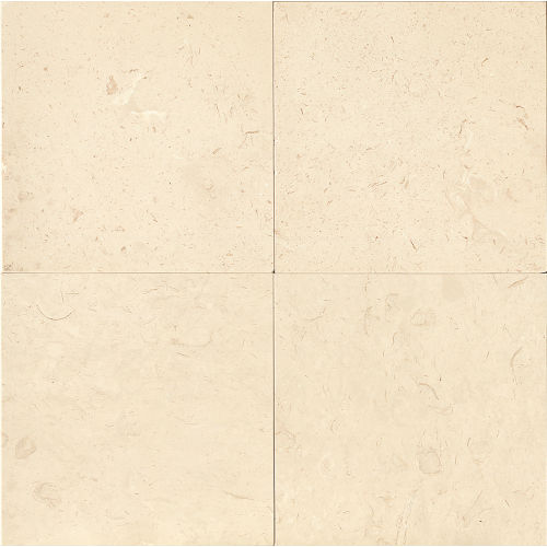 Corinthian White 24&quot; x 24&quot; Floor &amp; Wall Tile