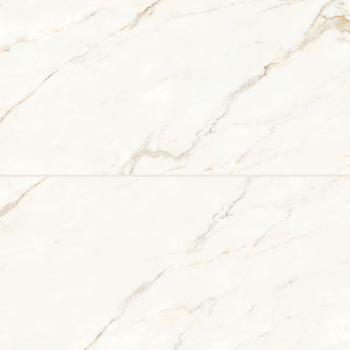 Magnifica 24&quot; x 48&quot; - 8mm Polished Porcelain Tile in Calacatta Oro