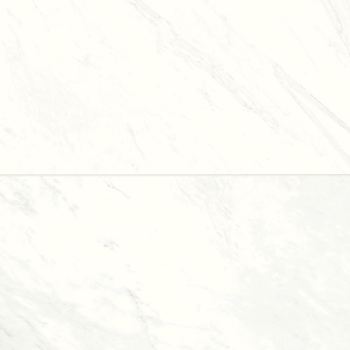 Magnifica 24&quot; x 48&quot; - 8mm Honed Porcelain Tile in Luxe White