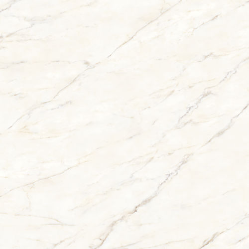 Magnifica The Thirties 30&quot; x 30&quot; - 8mm Honed Porcelain Tile in Calacatta Oro
